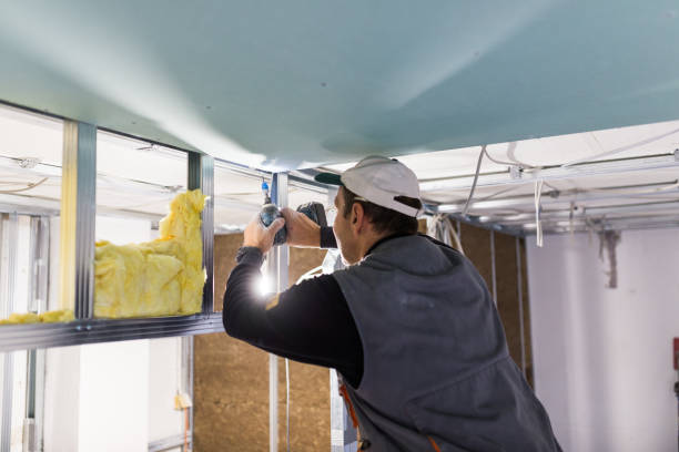 Types of Insulation We Offer in Edgewood, MD