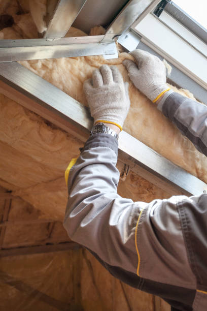 Best Geographic-Specific Insulation Services in Edgewood, MD